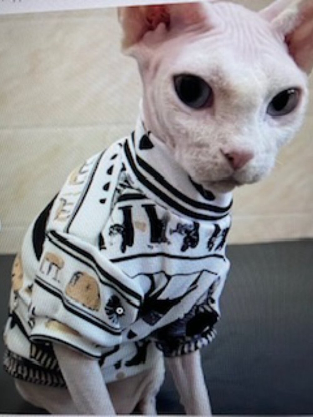 Sphynx Devon Rex Hairless Cat Clothes Stretchy Soft Fabric
